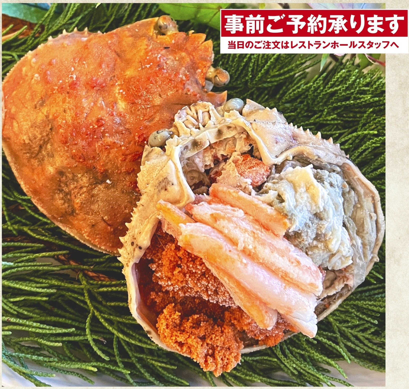 【数量限定】セイコガニ甲羅盛販売！